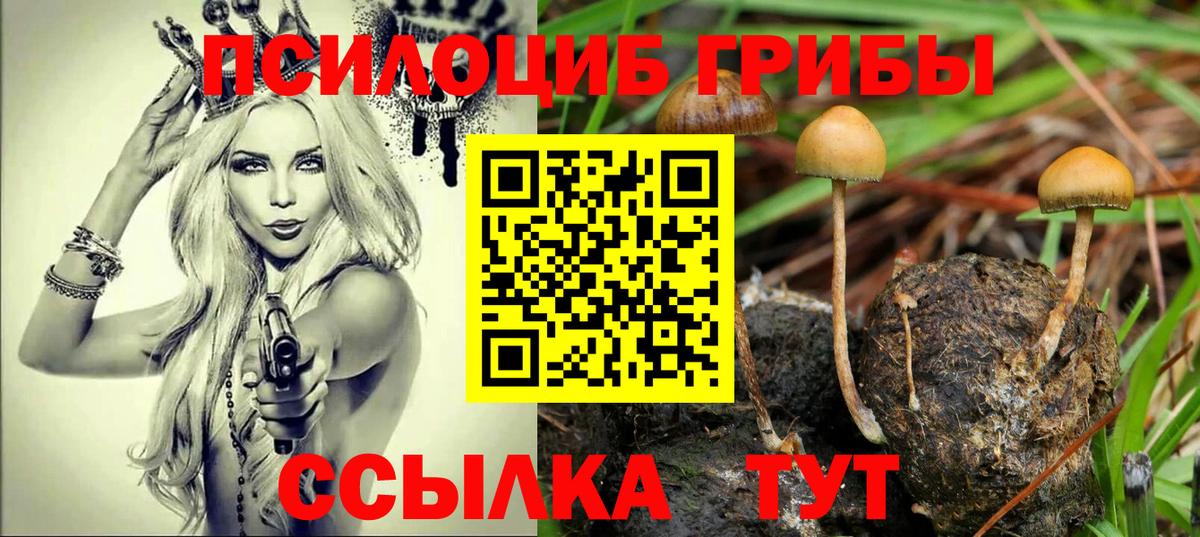 Псилоцибиновые грибы мицелий Кингисепп