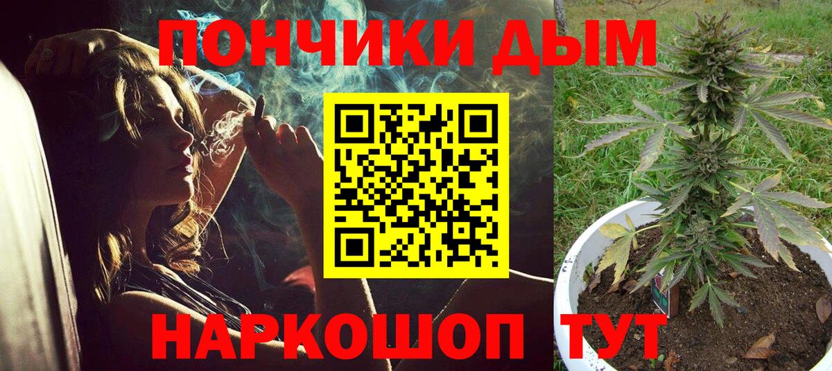 Каннабис план  МАРИХУАНА ГИДРОПОН  Шишки марихуана семена  Вход с VPN  Кингисепп 